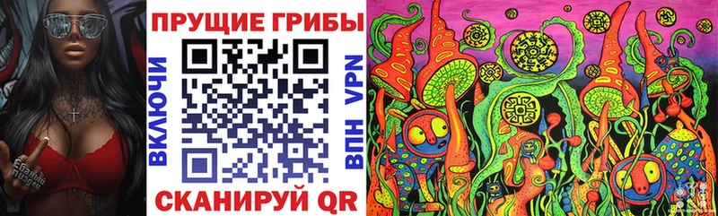 Купить где  Горячий Ключ  Галлюциногенные грибы Cubensis 